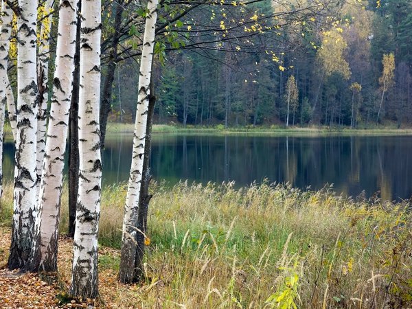 Озеро Светлояр и Замок Шереметева (из Нижнего Новгорода) - фото 2