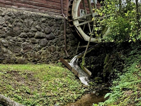 Белорусская старина: Гольшаны, Крево и Жодишки из Гродно - фото 2