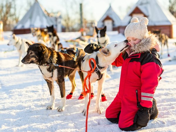 Семейные каникулы в Финляндии с поисками Санты, снежным сафари, встречами с хаски и оленями, фото 3