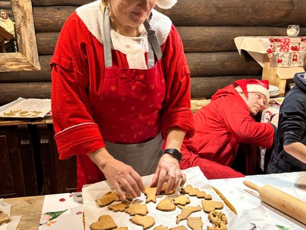 Семейные каникулы в Финляндии с поисками Санты, снежным сафари, встречами с хаски и оленями, фото 4