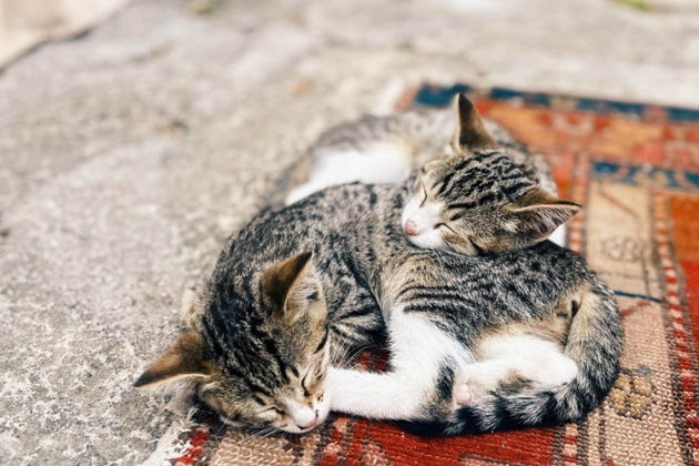 Фото экскурсии - Путешествие к древней крепости, Хучнинскому водопаду и экраноплану «Лунь» - 12