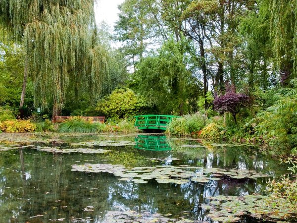 «В гости» к Клоду Моне — в Живерни - фото 1
