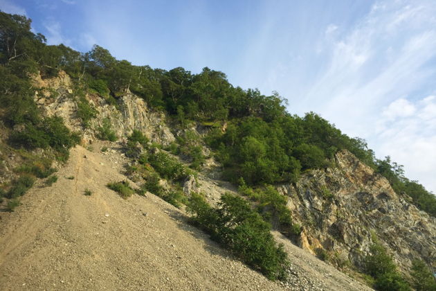Фото экскурсии - Прогулка по Петропавловску-Камчатскому - 9