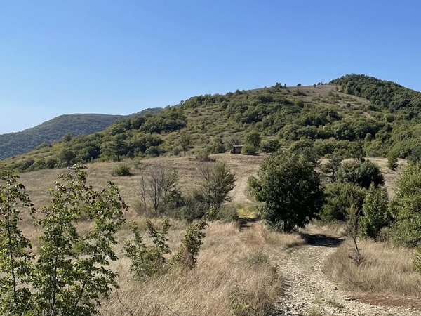 Хайкинг на гору Нексис в Геленджике - фото 3