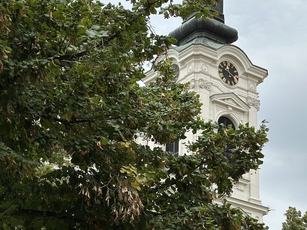Сремски Карловцы — самый обаятельный город Сербии (из Белграда) - фото 3