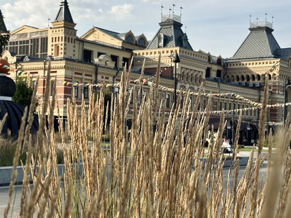 Криминальная ярмарка Нижнего Новгорода - фото 2