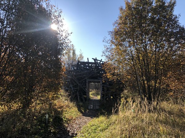 Экопарк «Ясно поле»: в гармонии с природой - фото 3