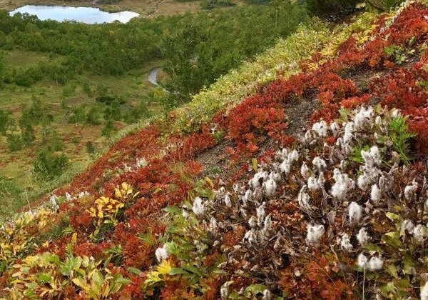 Горный массив «Вачкажец» + купание в термальных источниках - фото 4