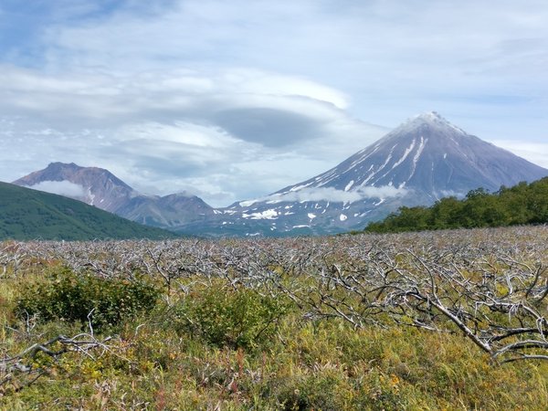 10 природных чудес за день: конная прогулка на Камчатке (всё включено) - фото 4