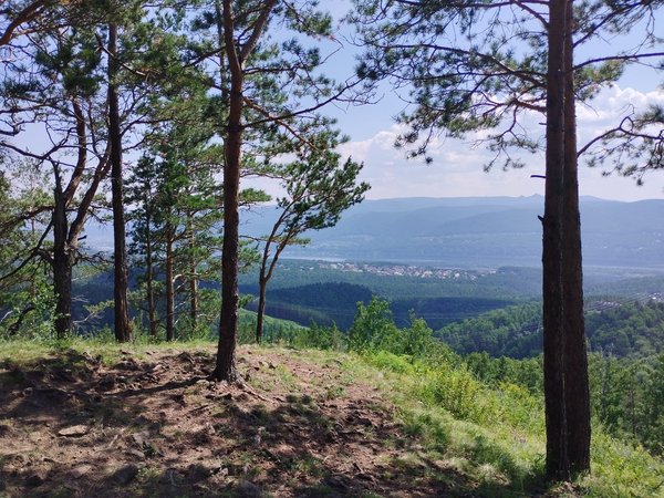 Горно-таёжное ожерелье Красноярска: треккинг по экопарку «Гремячая Грива»