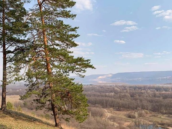 Там, где летают орлы: смотровые Самарской области - фото 4