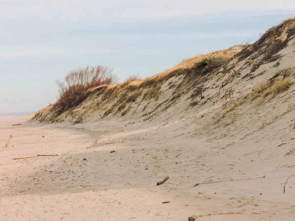 Куршская коса: земля древних куршей и великанши Неринги (из Калининграда) - фото 2