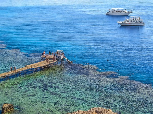 Прогулка на индивидуальной яхте к живописным коралловым рифам - фото 3