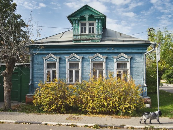 Экскурсия из Москвы в Коломну через Бронницы за приятной беседой (на вашем авто) - фото 4
