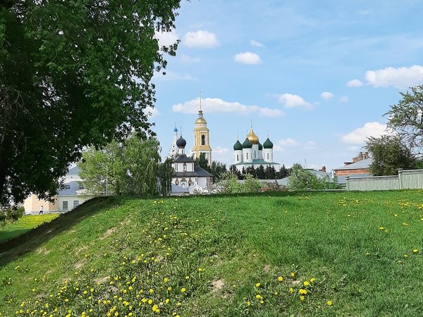 Экопрогулка в центре Коломны для детей и их родителей - фото 4