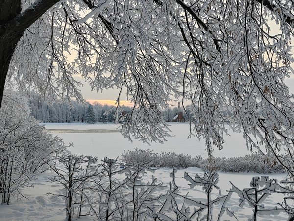 Сны императрицы: прогулка в Павловске - фото 4