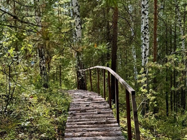 Из Екатеринбурга — к каменным великанам на границе Европы и Азии - фото 3