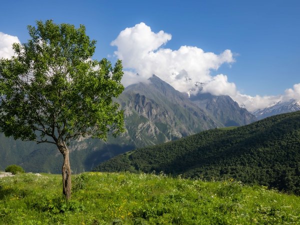 На джипах по заповедным местам Северной Осетии