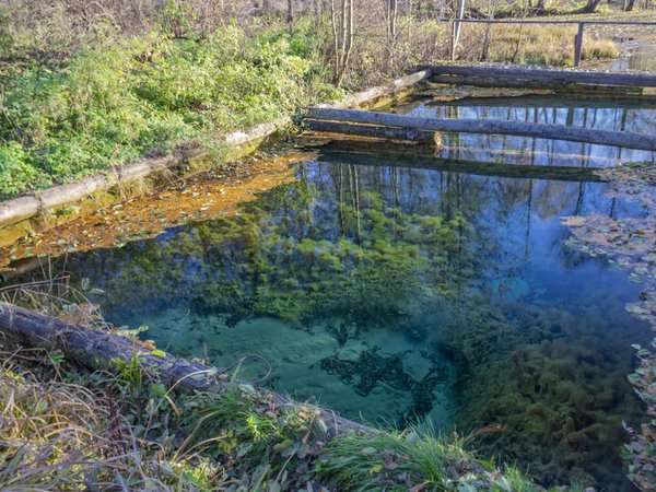 Чудеса на свете есть: в национальный парк «Угра» из Москвы - фото 2