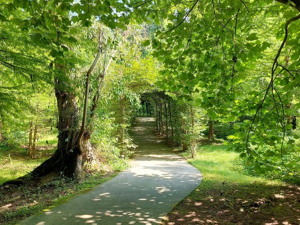 Магнитные пески и парки Шекветили: экскурсия из Батуми - фото 3