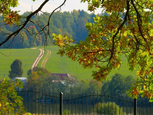 Усадьба Мураново и душевный мастер-класс - фото 1