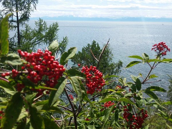 Хайкинг по Большой Байкальской тропе - фото 3