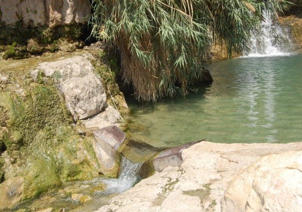 Водопады оазиса Эйн-Геди и отдых на пляже Мертвого моря  - фото 1