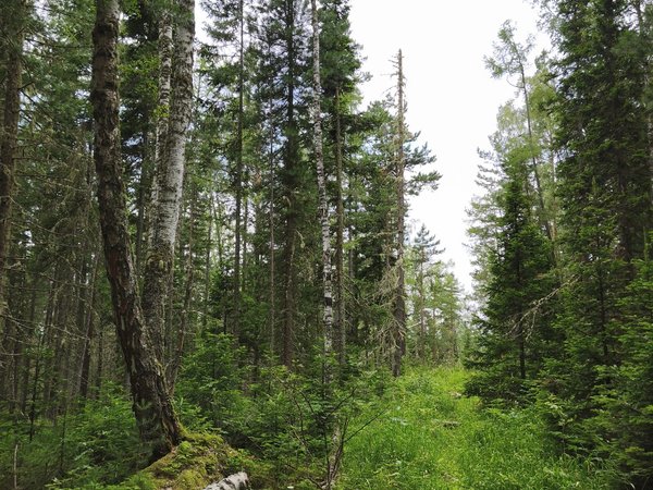 Путешествие из Красноярска в таёжный угол: Урманская Петля и Стена - фото 1