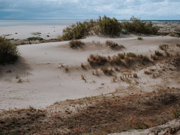 Экскурсия на Куршскую косу, в Зеленоградск и сыроварню «Шаакен Дорф» - фото 4