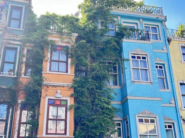 Разноликий Стамбул: от площади Султанахмет до района Балат - фото 4