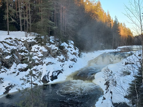 Дыхание Севера: водопад Кивач, хаски, олени и лошади (из Петрозаводска) - фото 3