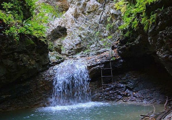 Экскурсионный тур по Аргунскому ущелью в компании горца - фото 2