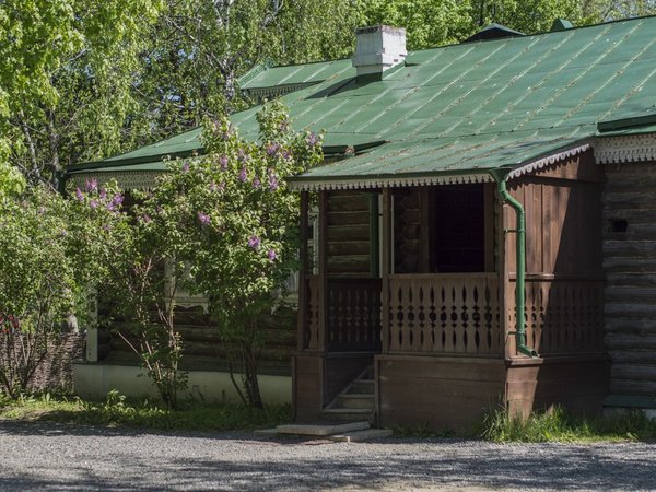 «Эта улица мне знакома»: Константиново, Рязань и Спас-Клепики - фото 3