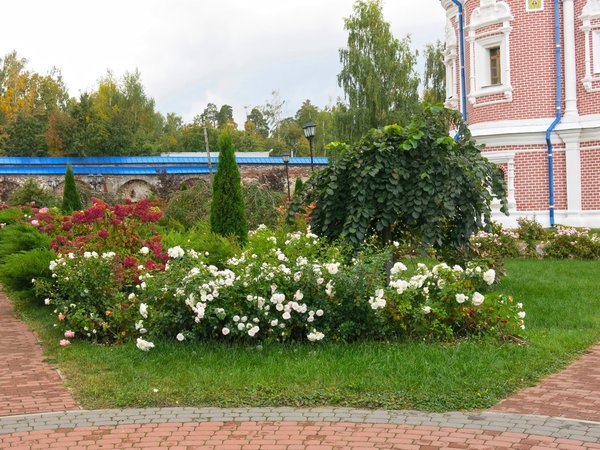 Рязань-городок и норвежский уголок — из Москвы - фото 4