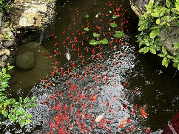 Из Чэнду — к Большому Будде в Лэшане - фото 3