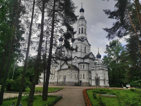 Знакомьтесь, Зеленогорск! - фото 3