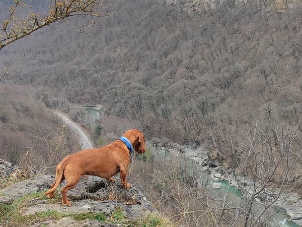 Треккинг в мини-группе по сказочным ущельям Адыгеи в поисках весны - фото 2
