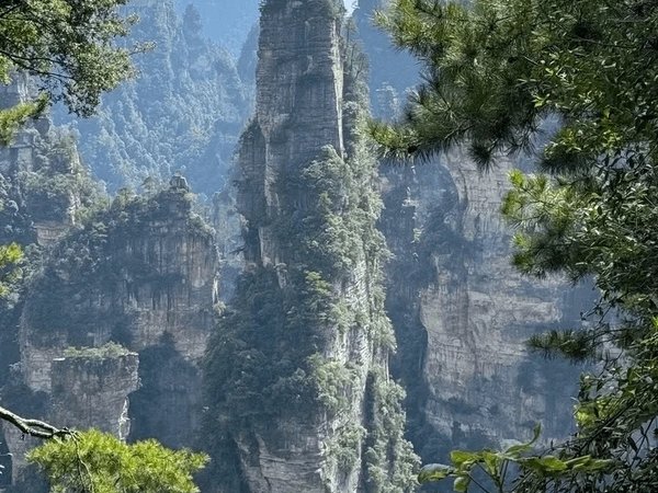 Чудеса Китая: панды, скалы из «Аватара», город на водопаде и круиз по реке Ли, фото 5