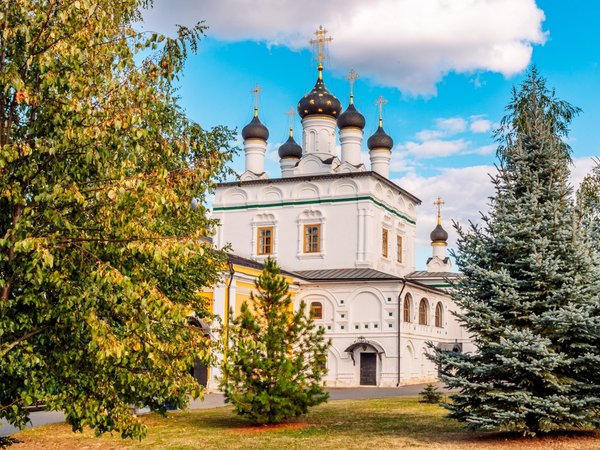 Из Москвы — в Мелихово, Давидову пустынь и Талеж - фото 4