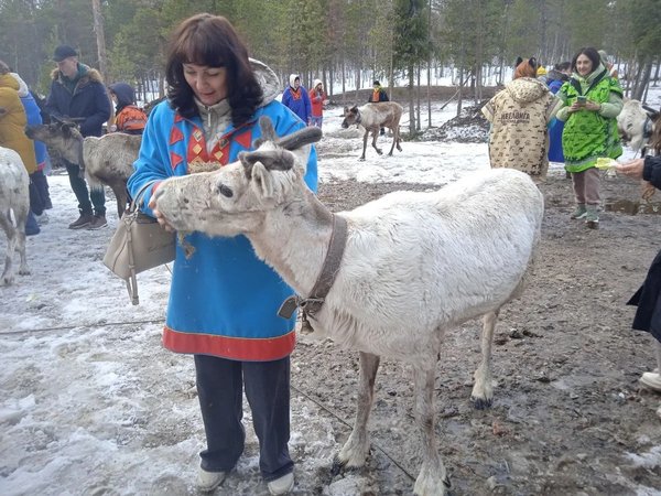За Полярный круг: в гости к саамам, охота за сиянием и экскурсии по Мурманску и Териберке - фото 3