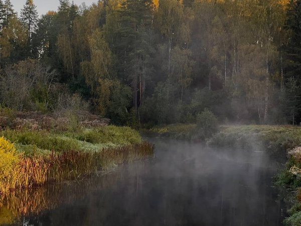 На сапбордах по реке Оредеж в мини-группе со съёмкой - фото 3