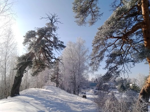 В древний Городец - фото 2