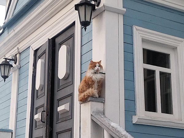 Вологодские дворики - фото 1