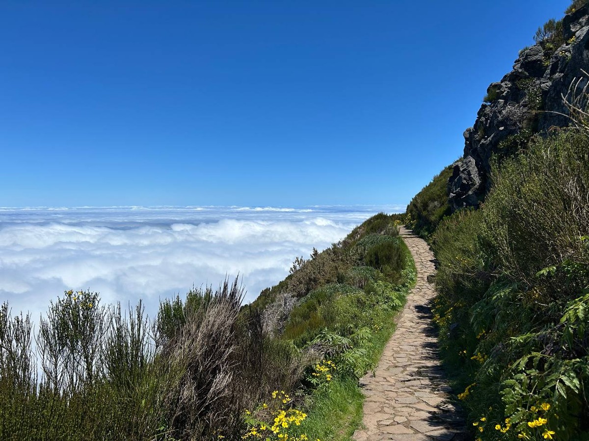 Треккинг по Мадейре в мини-группе с проживанием на вилле и дегустациями