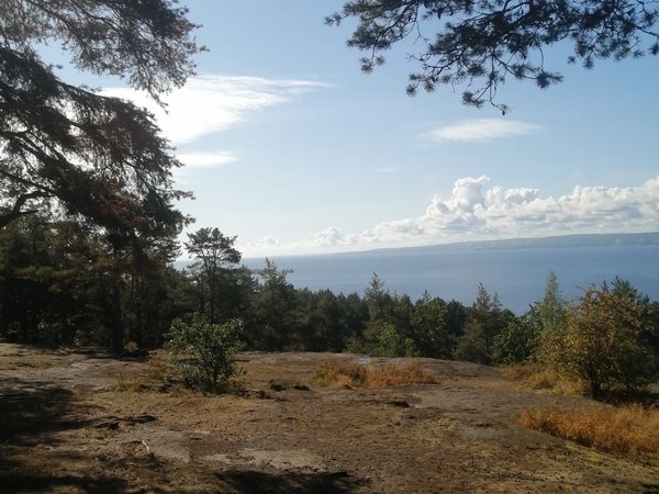 Петрозаводск с необычного ракурса - фото 2