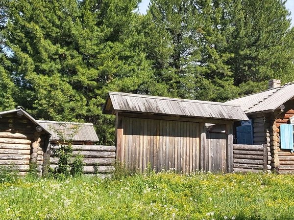 В Байкальский биосферный заповедник — из Иркутска - фото 3