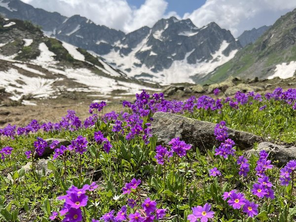 Озёра, цветущие склоны и водопады: треккинг налегке в Абхазии