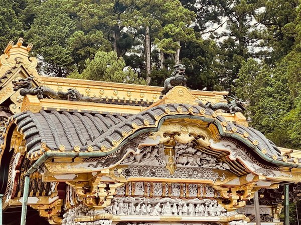 Никко и Асикага: самурайская история и цветочная сказка