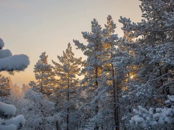 Карелии зимний узор. Индивидуальный тур «всё включено» - фото 1