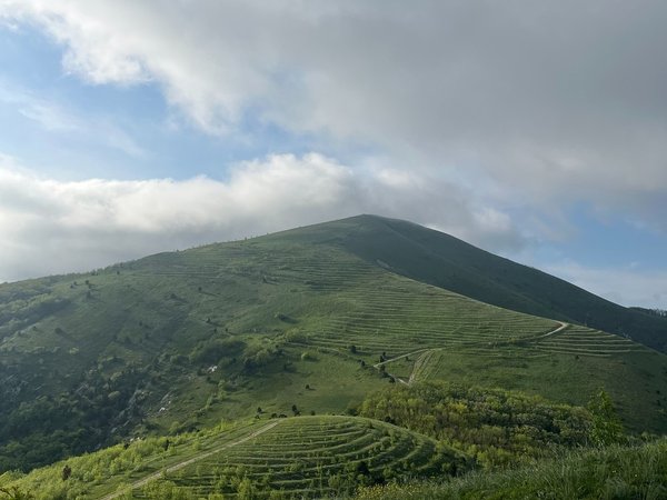Из Геленджика — к живописным тропам Кабардинки - фото 3